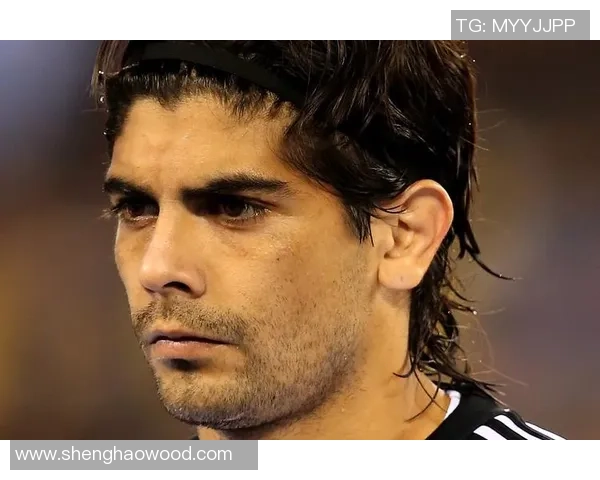 加维拉：足球场上的风采与魅力，探索最帅球星背后的故事