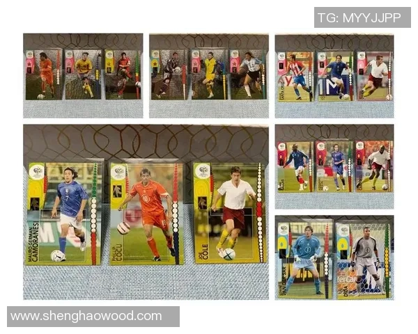 帕尼尼足球星卡入坑全攻略从基础了解到收藏技巧一步到位 帕尼尼足球星卡入坑全攻略从基础了解到收藏技巧一步到位