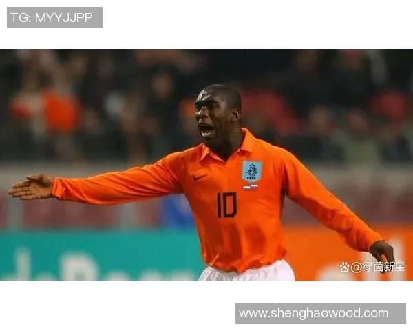 荷兰足球队现役球星介绍及其在国际赛场的表现分析