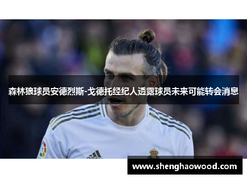 森林狼球员安德烈斯-戈德托经纪人透露球员未来可能转会消息